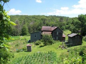 Springtime brings a crop of corn and a completed addition. (Photo by: Connie Regan-Blake)